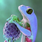 zOlkAuY.png
