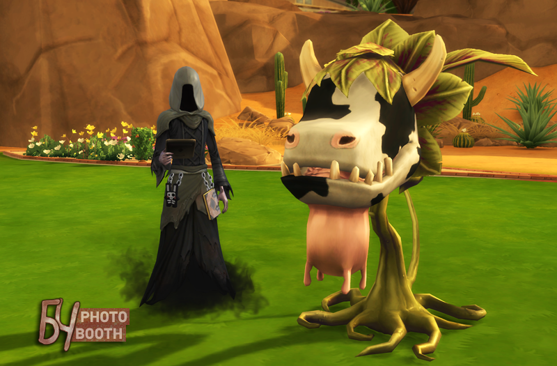 AnvMVRF.png