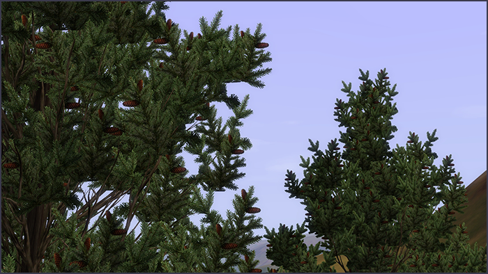 0_d71a8_3115ec71_XL.png