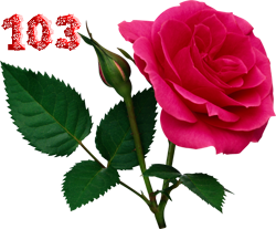 0_fb3d5_eab8556_M.png