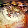 a80b9b7e731d8cb6ac50bbcdd2b54c99.png