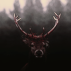 0_120f79_9548aba_orig