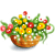 animashka187.gif