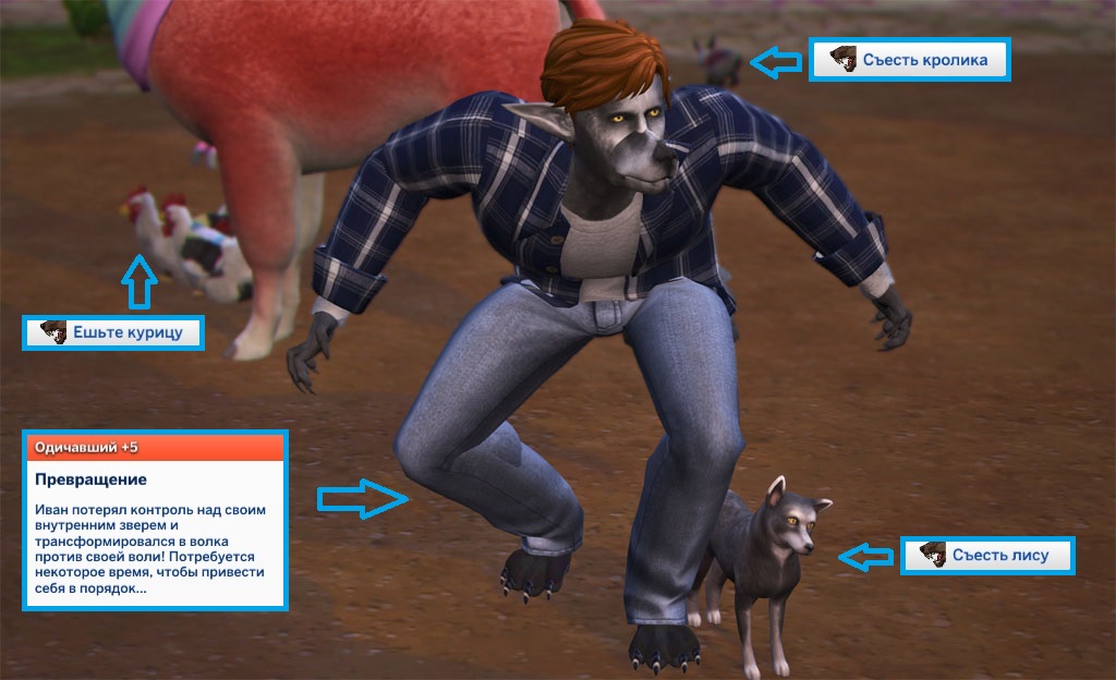 HZpe4iS.jpg