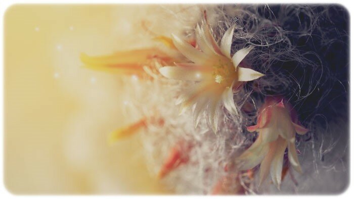 0_1661a7_6c6fae03_XL.jpg