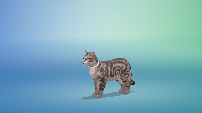Y09W8Tz.png
