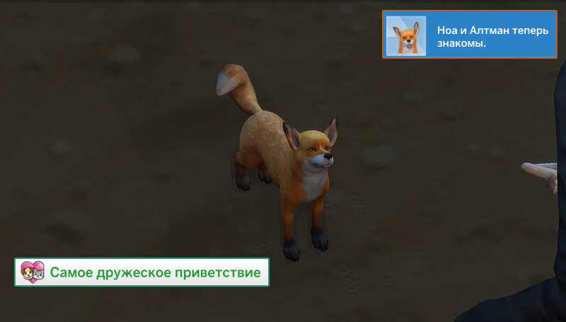 at9u1cL.jpg