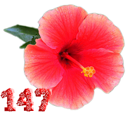 0_fb401_fa8f5fc6_M.png