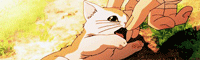 yI1HuUx.gif