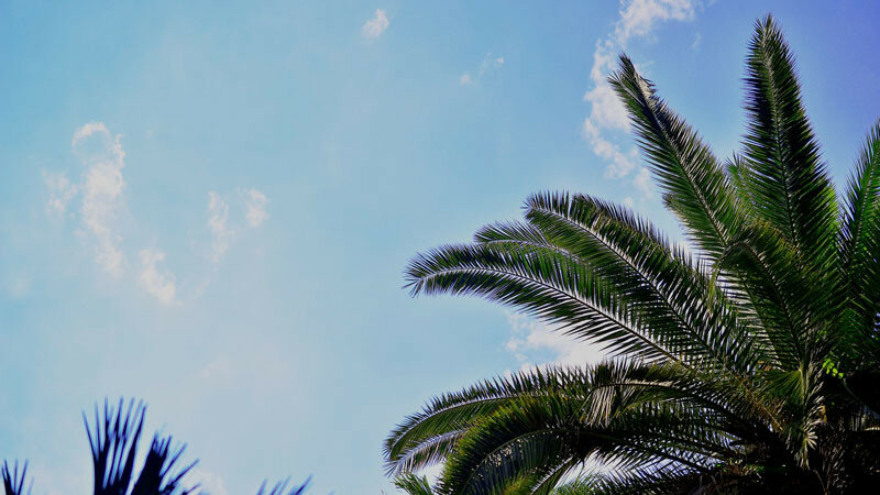 0_16a522_791c2ac1_XL.jpg