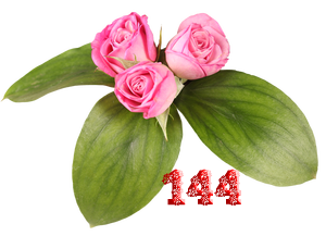0_fb3fe_5644ce76_M.png
