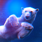ktt-leto-2019avs4.png