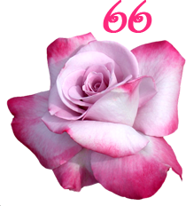 0_131b50_66fe0df3_orig.png