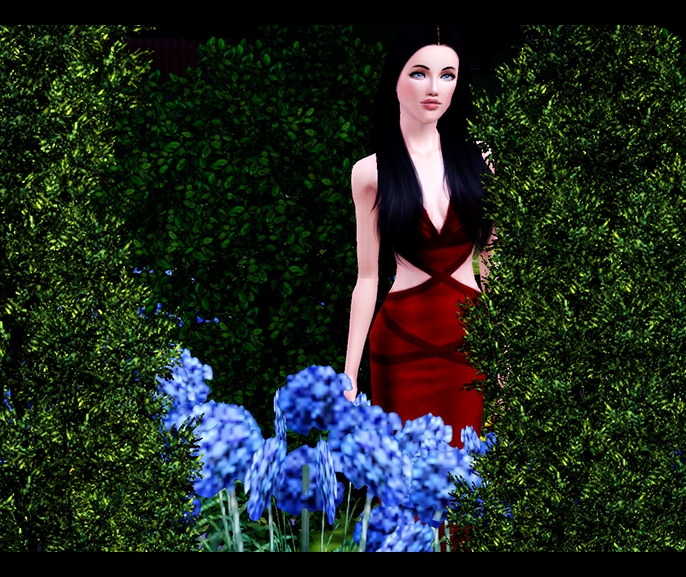 0_130301_c2c6483c_orig.png