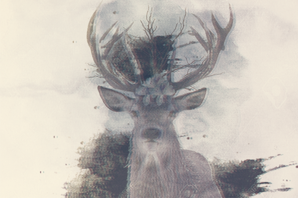 0_168dde_4a1a7746_orig