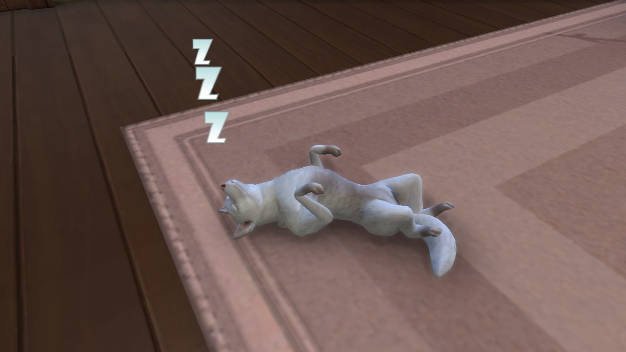 PdkT1CXpys4.jpg
