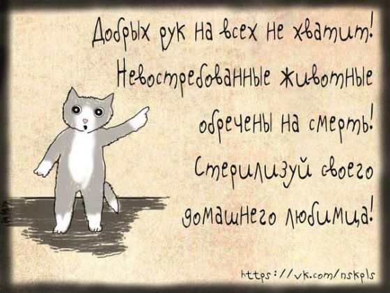 1442966498_larbt7unwko.jpg
