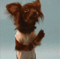 buFmfdJ.gif