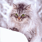 0_19928f_fc3c27a8_orig.jpg