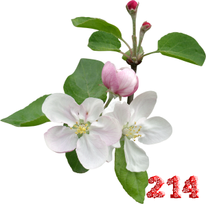 0_fb444_273977f4_M.png