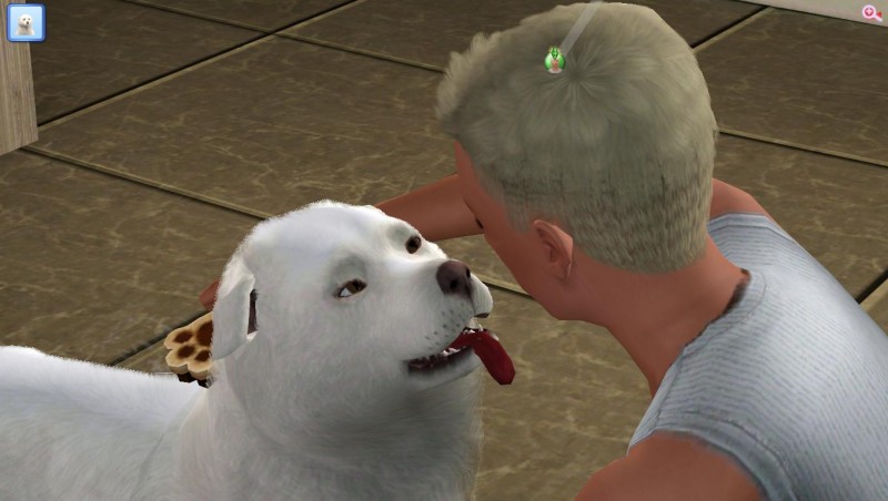 TS3_W_2018_01_03_13_56_37_68.jpg