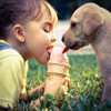 00b16ecd90a4ae6ac56f517c91934df1.png