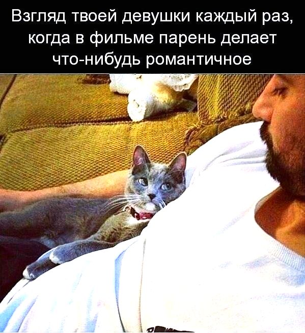 oW94UxYE2Jw.jpg