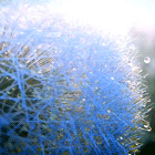 0f427e1f0791de1efd4dd0a2742b206a.gif