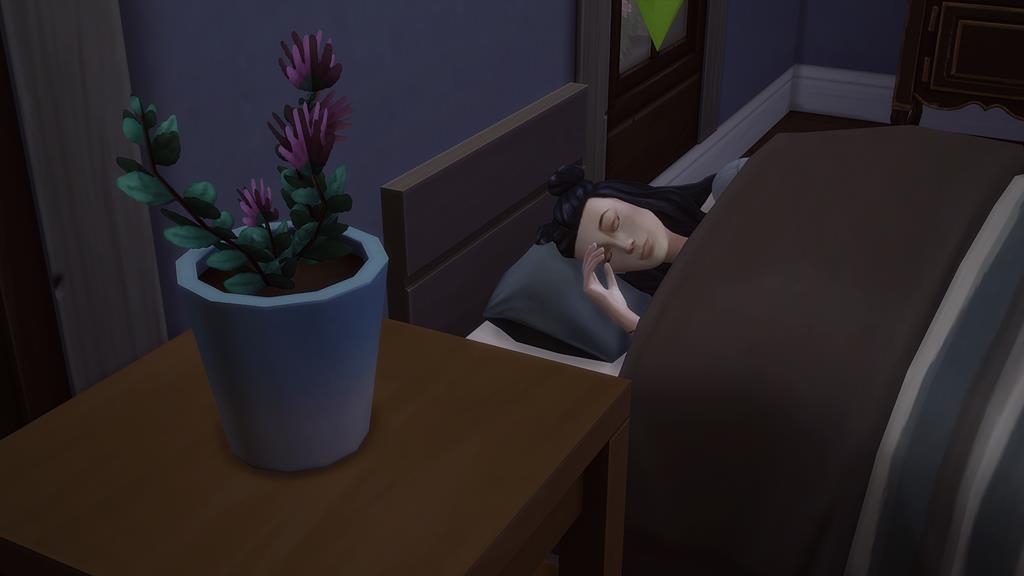 aePgFjW.jpg