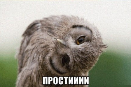 ddc39cdb289ce7cf8c905b364006b33c.jpg