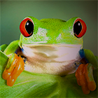aWzuWaY.png