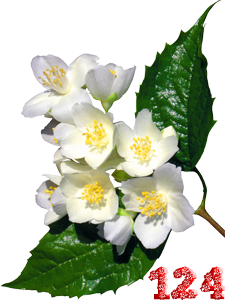 0_fb3ea_d3507562_M.png