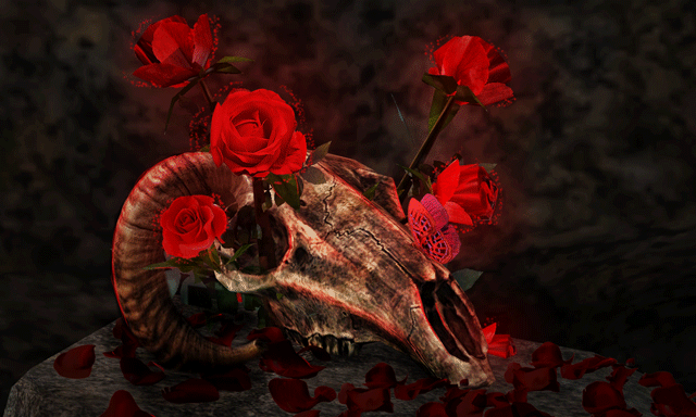 6f5cc6fec5d372486554f8827e30b663.gif