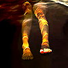 1a4971ece76ae788866dfb5d902f66cc.png