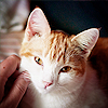 1038cbd650a4ba08a1f32a865647a73c.png