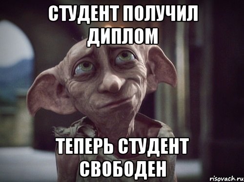 dobbi_12235760_orig_.jpeg