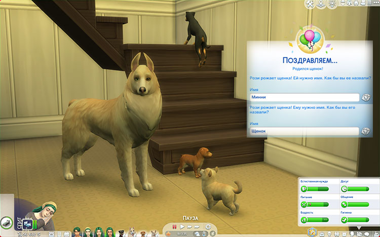 TS4-x64-2022-04-09-19-31-26-61.jpg