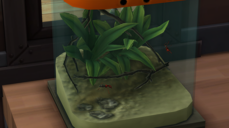 J5wIBzj.png