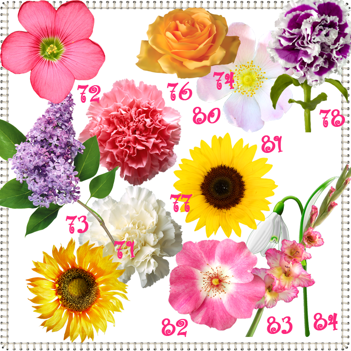 871df9359f5fd52792bd27a2bb341b29.png