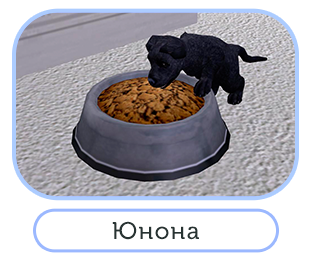 Dla-otczota.png