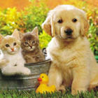 a19cbbb3e167ed9113258489dc3fbd8f.png