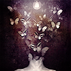 ffb12de7263e97eee70c183ddbee9f9d.png
