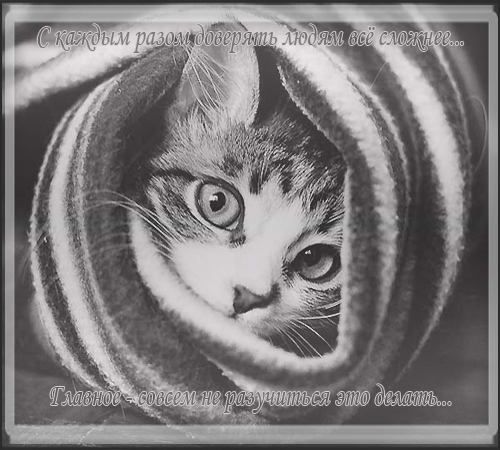 SZzuGfr.png