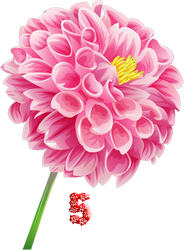 0_fb373_b10da53a_M.png