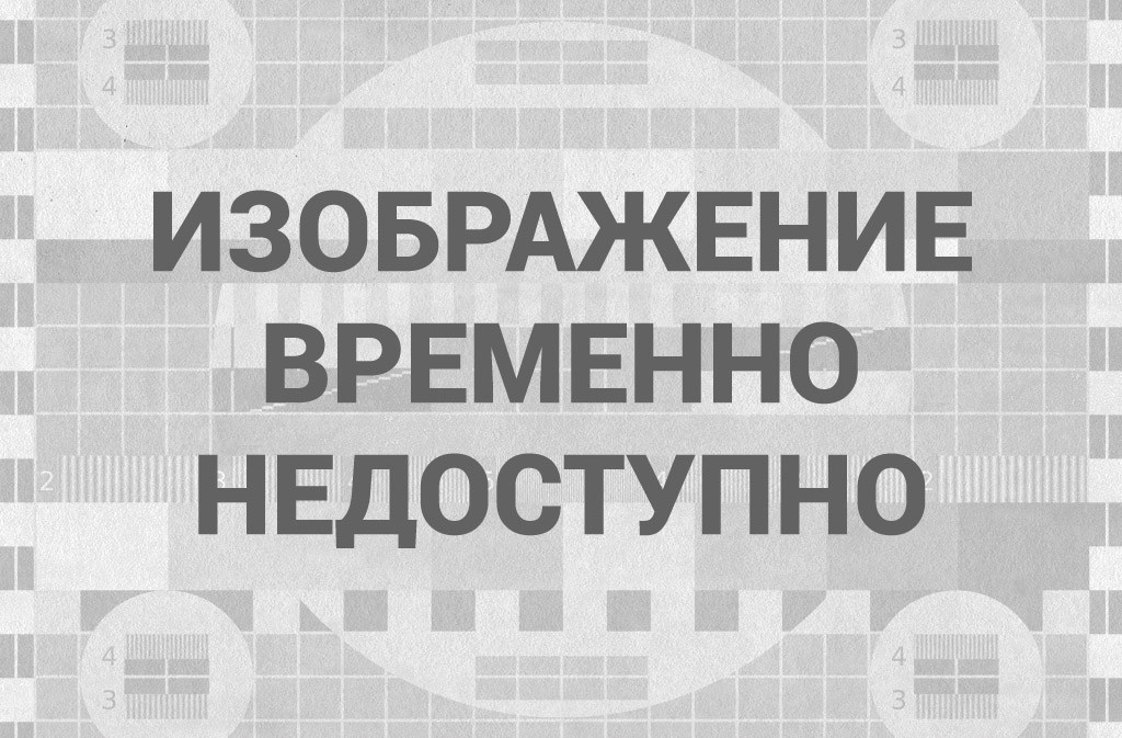 15292234941den-papy5-643x365.jpeg