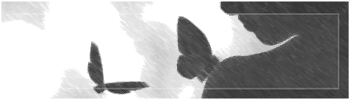 KpqiIHk.png