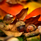 0_e1756_28ef315a_orig.jpg