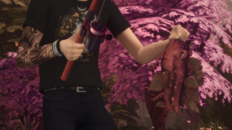 e85491c04378c7e4b696c7367fa17a68.png