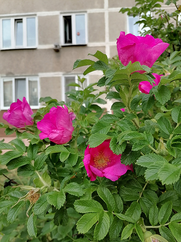 00c5d8e938d3f6aecb997b33268b6dc4.jpg