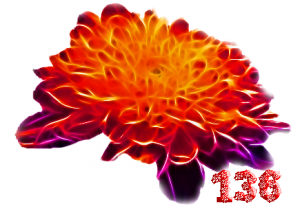 0_fb3f6_1ec34881_M.png